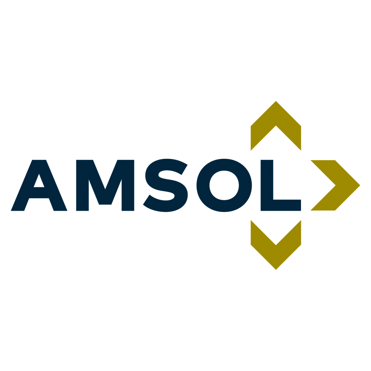 African Marine Solutions Logo